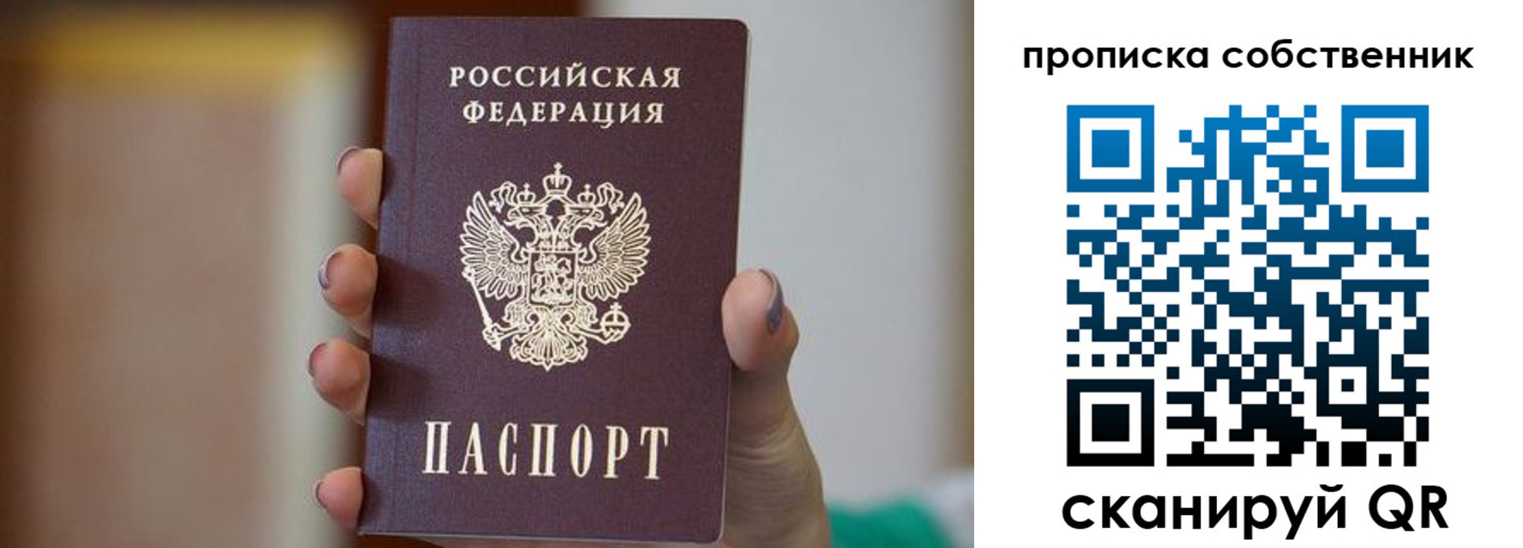 прописка поиск в Оленегорске